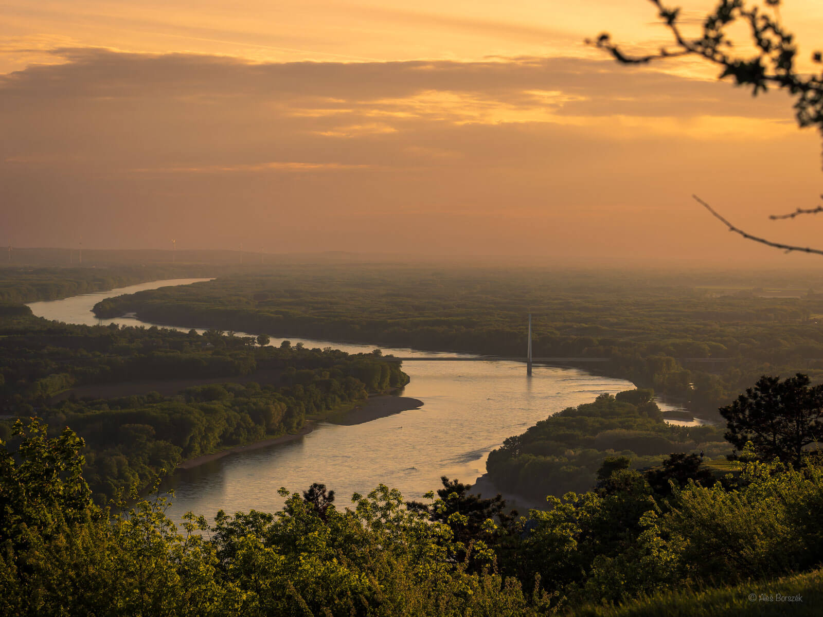 Panoramablick vom Braunsberg über Hainburg an der Donau.