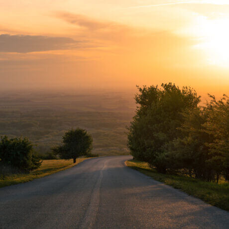 Straße bei Sonnenuntergang auf dem Braunsberg in Hainburg an der Donau.
